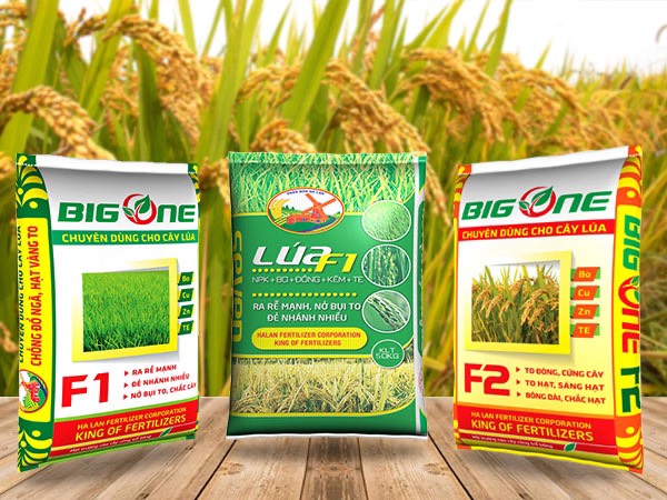 ​​​​Sự cần thiết của bao đựng lúa giống | Bao bì pp dệt đựng lúa giống [ Miễn Phí Thiết Kế ]