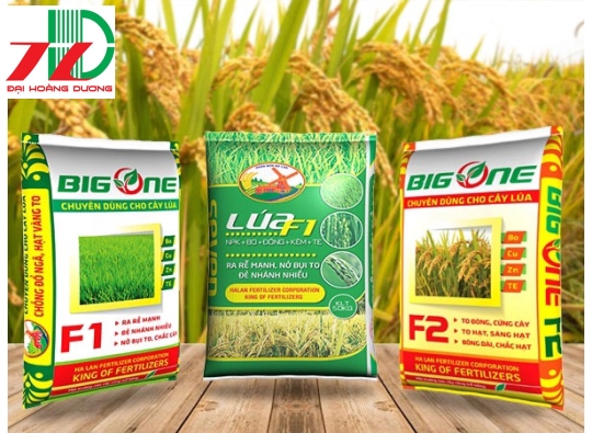 Bao bì pp dệt đựng lúa giống [ Miễn Phí Thiết Kế ]